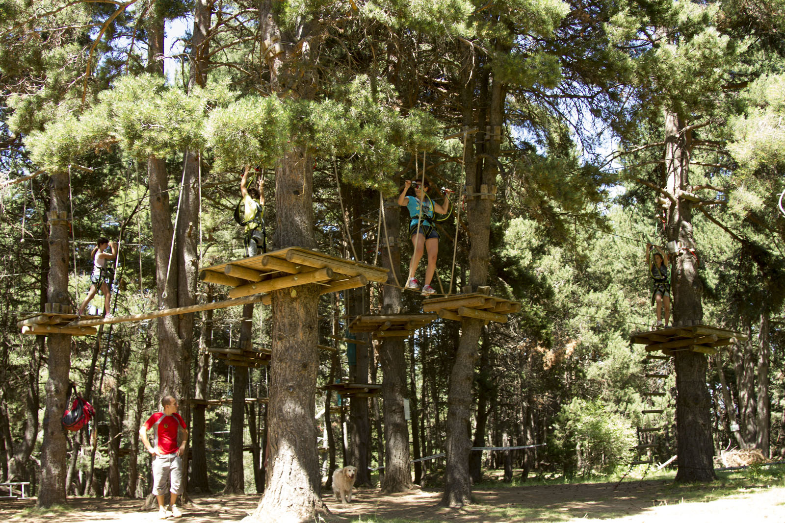 Parque de aventura en los árboles | La Molina